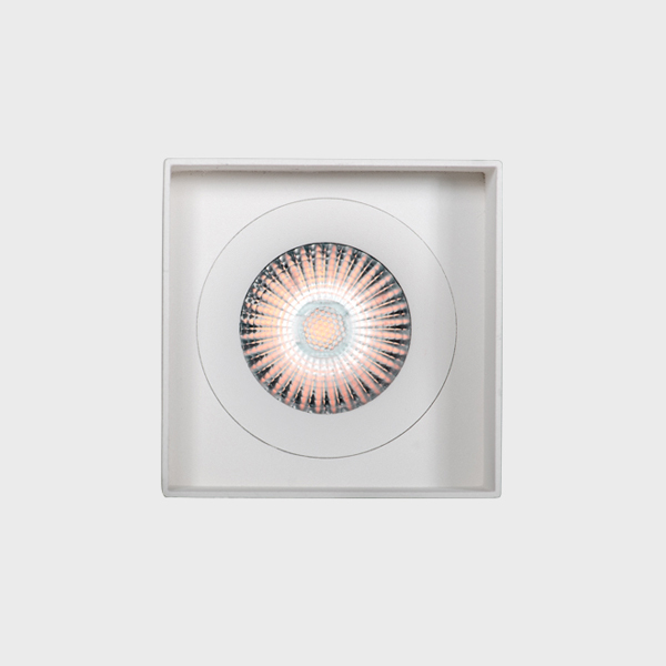 Eridane Downlight 12,3W